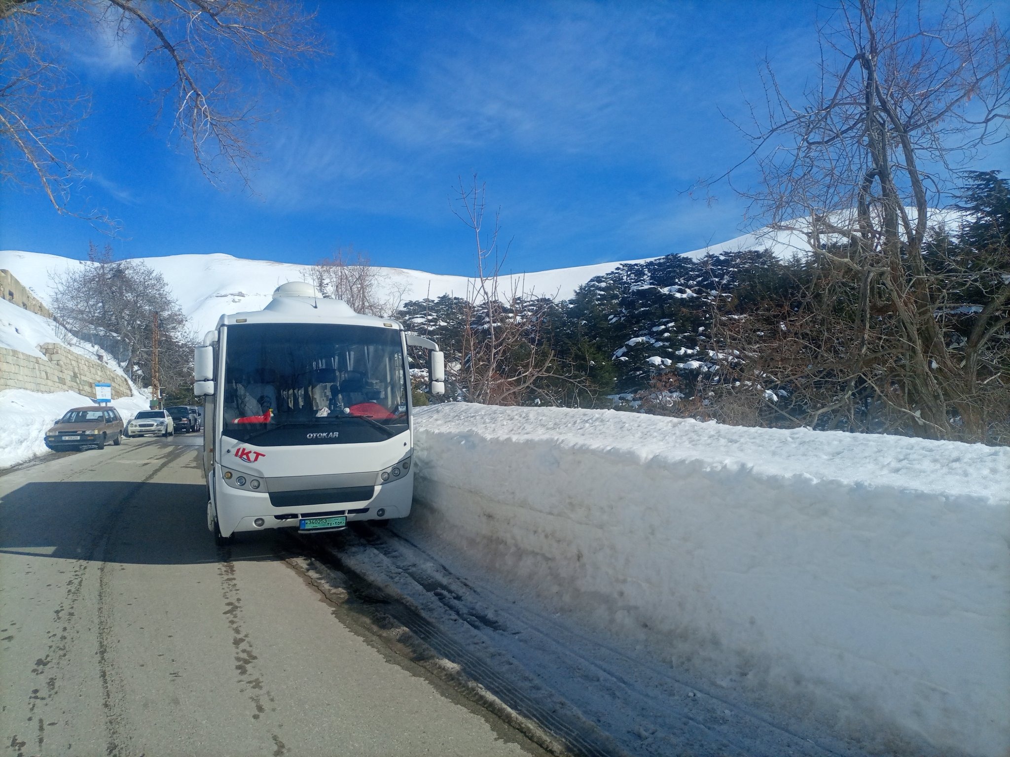 This image for Image Layouts addon